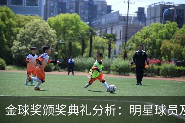 金球奖颁奖典礼分析：明星球员及其伴侣的参与情况